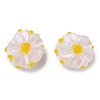 Handmade Lampwork Enamel Beads LS-LAMP-Z020-05C-1