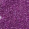 8/0 Glass Seed Beads X1-SEED-A017-3mm-1116-2