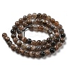 Natural Black Moonstone Beads Strands G-A219-A01-02-4