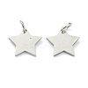 Tarnish Resistant (Defective Closeout Sale: Scratches)304 Stainless Steel Charms LS-STAS-XCP0001-34-2