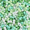 Glass Seed Beads X1-SEED-K010-03H-2
