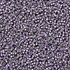 MIYUKI Delica Beads SEED-MY11-DB1065-3