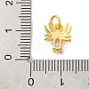 Rack Plating Brass Micro Pave Cubic Zirconia Charms KK-F881-02G-07-3