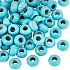 100Pcs Dyed Synthetic Turquoise European Beads SPDL-PH0001-03-1