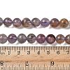 Natural Purple Phantom Quartz Purple Lodolite Quartz Beads Strands G-S333-10mm-030-01-2