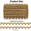 10 Yards Polyester Braided Metallic Lace Trim DIY-WH0491-47B-2