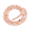 Natural Freshwater Shell Dyed Beads Strands SHEL-T020-29B-05-2