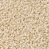 MIYUKI Delica Beads X-SEED-J020-DB0204-3