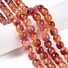 Dyed Natural White Jade Beads Strands G-T138-D09-1