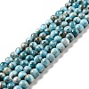 Natural Apatite Beads Strands G-G858-01A-1