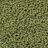 MIYUKI Round Rocailles Beads X-SEED-G009-RR4474-2