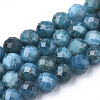Natural Apatite Beads Strands X-G-S345-8mm-008-1