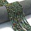 Natural African Turquoise(Jasper) Beads Strands G-A260-A16-01-1