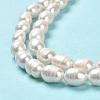 Natural Cultured Freshwater Pearl Beads Strands PEAR-E016-181A-4