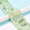 Natural New Jade Beads Strands G-C038-02N-1