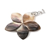 Natural Black Lip Shell Pendants SHEL-M019-03P-2