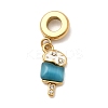 304 Stainless Steel Enamel & Cat Eye European Dangle Charms STAS-D153-22B-G-1