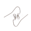 Tarnish Resistant 304 Stainless Steel Earring Hooks STAS-S111-010-1