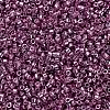 MIYUKI Delica Beads SEED-X0054-DB1848-3