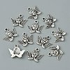 Tibetan Style Alloy Pendants LS-FIND-CJC0007-94A-2