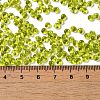 Transparent Colours Glass Seed Beads SEED-P006-02A-04-4