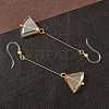 Electroplated 304 Stainless Steel Resin Fan Dangle Earrings EJEW-Z129-11G-01-3