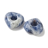 Natural Blue Spot Jasper European Beads G-C252-01B-2