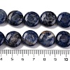 Natural Sodalite Beads Strands G-C159-A09-01-5