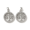 Brass Micro Pave Cubic Zirconia Pendents X-KK-R210-21P-01-1