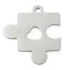 Non-Tarnish 304 Stainless Steel Pendants STAS-B056-19P-1