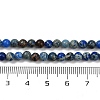 Dyed Natural Regalite/Imperial Jasper/Sea Sediment Jasper Beads Strands G-B124-C04-02-3