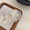 Acrylic Claw Hair Clips PW-WGBD0CD-03-1