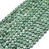 Natural Dyed White Jade Beads Strands G-C116-A51-02-2