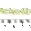 Transparent Glass Beads Strands GLAA-P060-01C-18-4