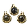 Natural Labradorite Pendants G-M405-06G-3