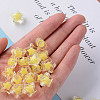 Transparent Acrylic Beads LS-TACR-S152-02A-SS2105-5