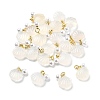 Natural Agate Shell Shaped Pendants G-U025-06G-1