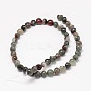 Natural Bloodstone Beads Strands G-P025-21-12mm-2