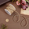10M Flat Braided Imitation Leather Cords LC-CL0001-04C-3