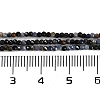Natural Sapphire Beads Strands X-G-P553-G07-01-5