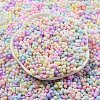 Macaron Color Opaque Frosted Glass Seed Beads SEED-K009-12B-01-2