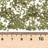 MIYUKI Delica Beads SEED-MY11-DB2404-3