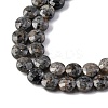 Natural Fluorescent Syenite Rock(Glow under UV Light) Beads Strands G-C179-A39-03-4