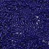 Baking Paint Glass Seed Beads X-SEED-S042-05B-78-3