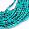 Natural Magnesite Oval Bead Strands TURQ-E022-13-6x4mm-1