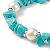 Synthetic Turquoise(Dyed) Chips & Imitation Pearl Beaded Bracelet with Alloy Turtle Charm BJEW-TA00145-4