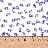 Baking Paint Transparent Glass Seed Beads SEED-N006-05H-4