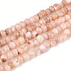 Natural Freshwater Shell Dyed Beads Strands SHEL-T020-29B-05-1