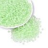 FGB Grade A Transparent Glass Seed Beads SEED-Q040-03A-03-2