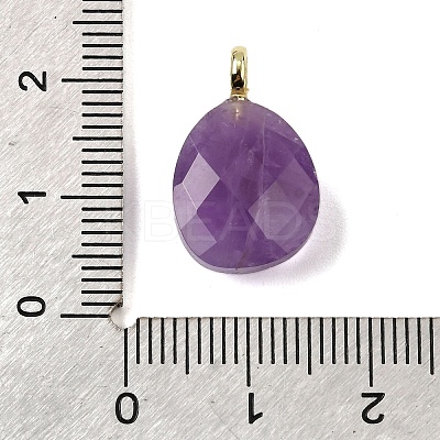 Natural Amethyst Pendants G-Z090-01G-02-1